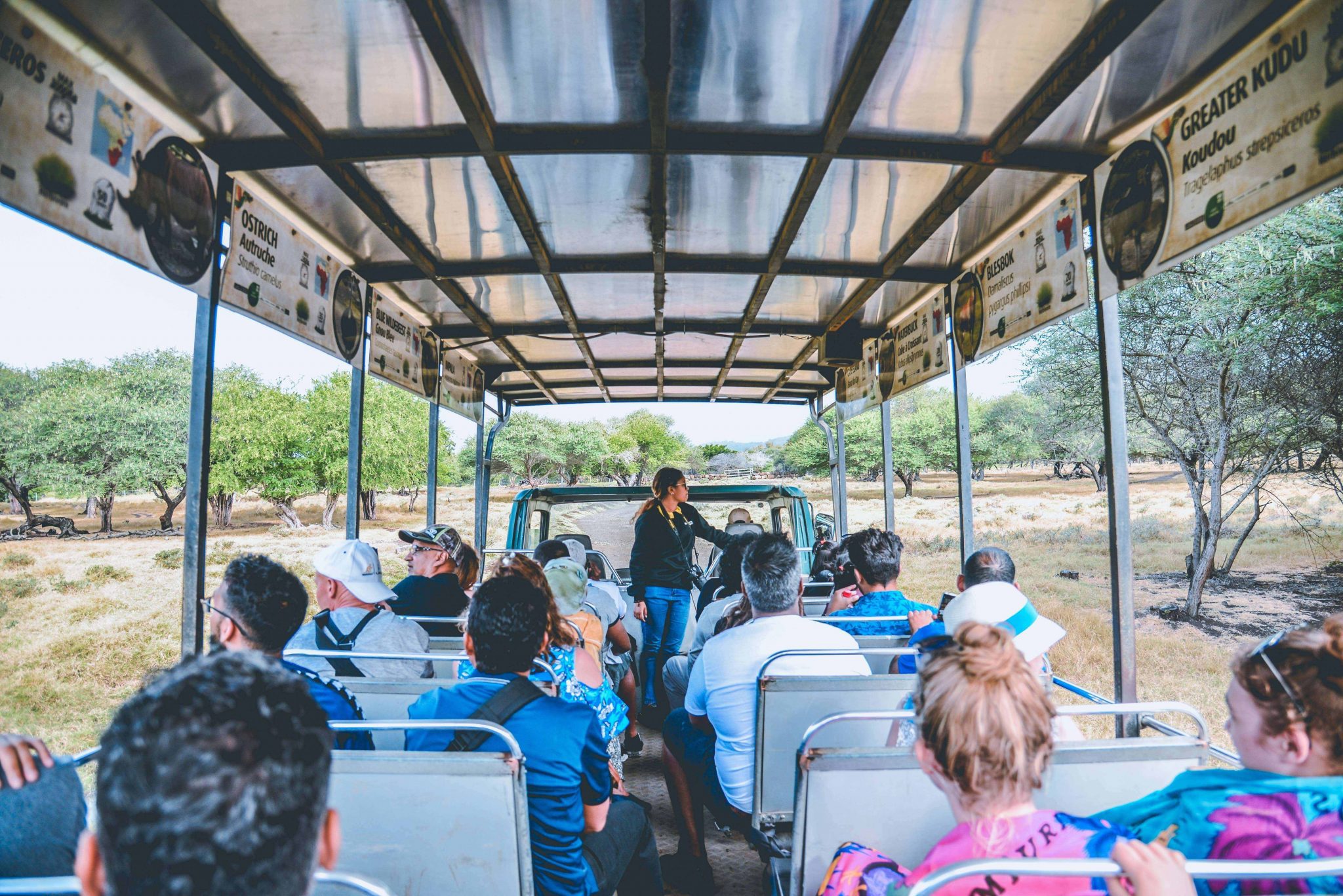 wild animal safari bus schedule