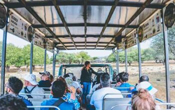 Safari Bus