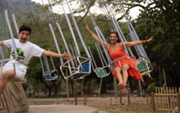Monkey Swing