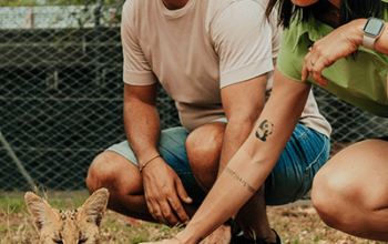 Caracal Interaction