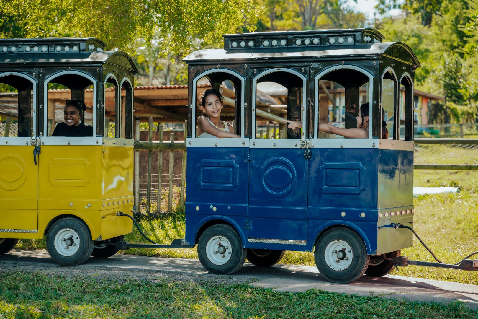 Little-Train-Petting-Farm-Casela-4