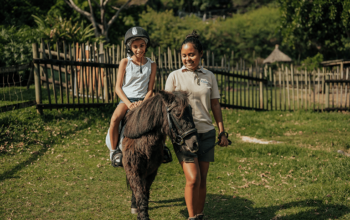 Tour de poney