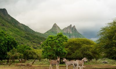 8 Amazing Activities You Should Not Miss at Casela Nature Parks – Mauritius