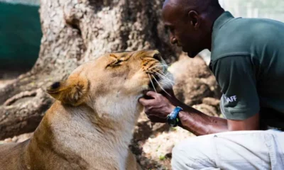 Our Animal Welfare and Sustainability Pledge