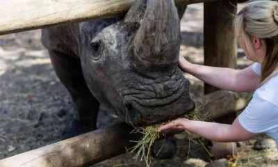 World Rhino Day at Casela Nature Parks