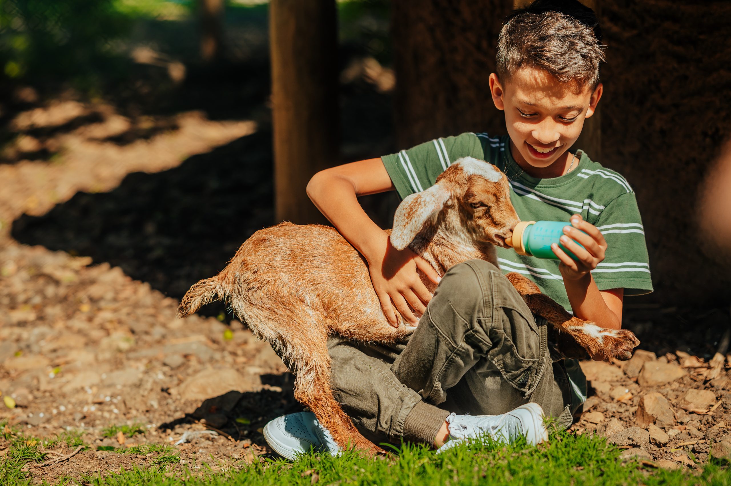 Casela-PettingFarm-8AmazingActivitiesToDo-Blog