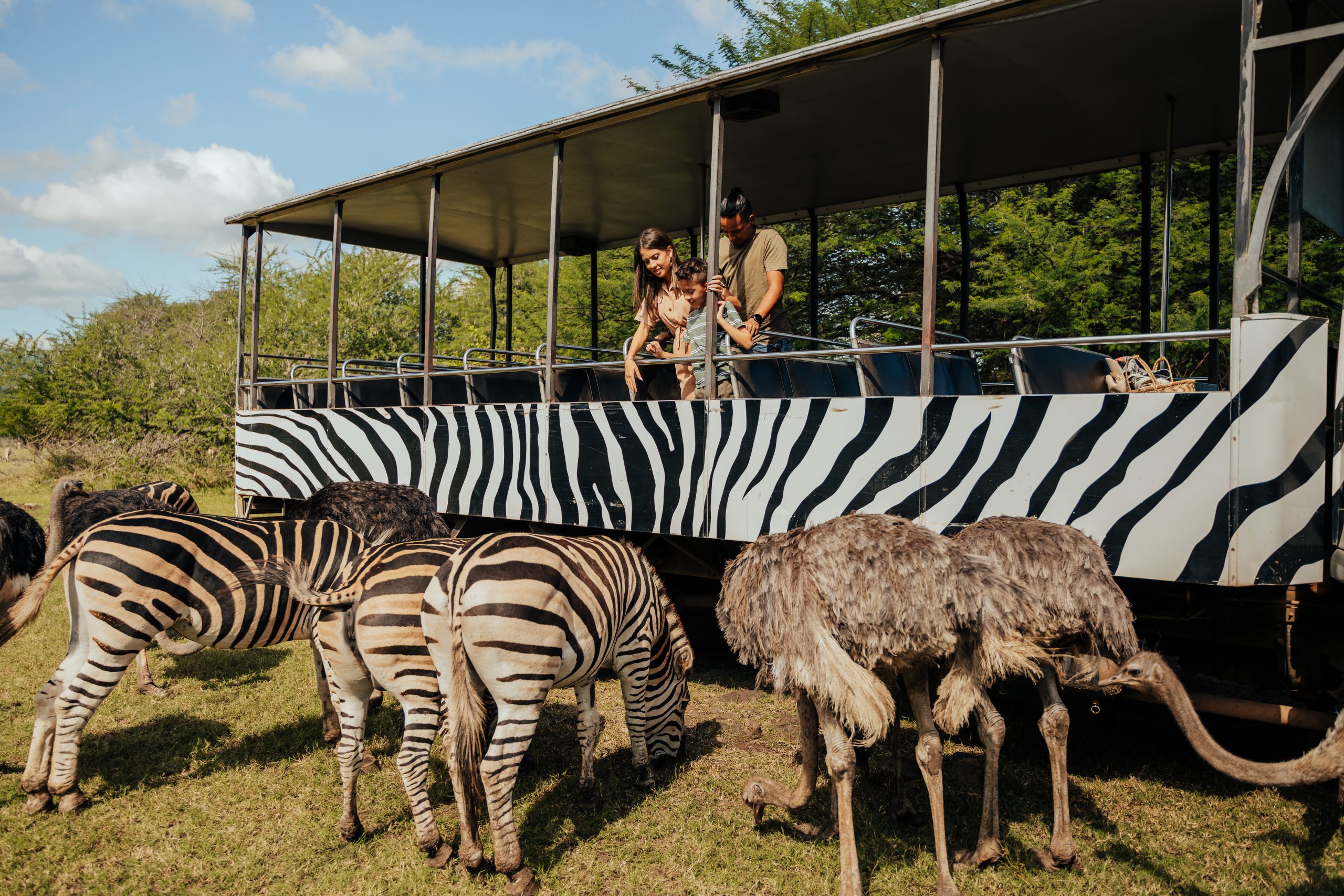 Casela-SafariTruckTour-8AmazingActivitiesToDo-Blog