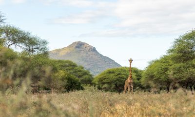 Local Offer – Special Holidays