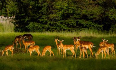 Seasonal Pricing Calendar